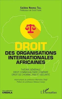 DROIT DES ORGANISATIONS INTERNATIONALES AFRICAINES